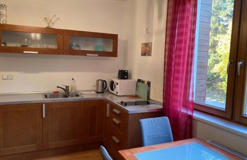 Spindleruv Mlyn Apartamento | Studio Apartment Michael