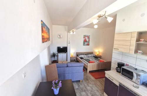 Rudine Apartamento | Studio Apartment Mini Dora