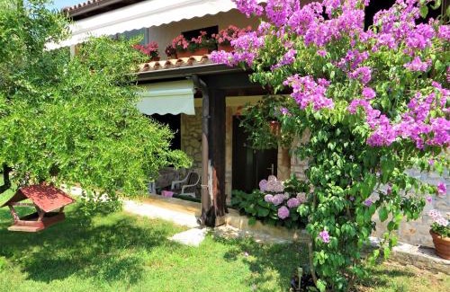 Mali Maj Apartamento | Studio Apartment Paljar