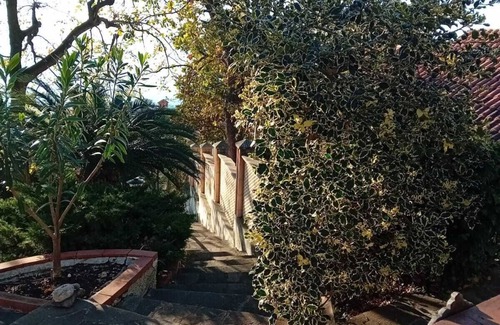 Marina di Maratea Apartamento | Studio apartment surrounded by greenery in Marina di Maratea