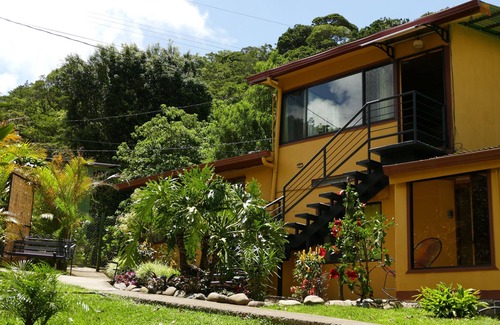 Monteverde Apartamento | Estudio / Apt. Bosque Nuboso Monteverde con Balcón Privado - Vista del dosel