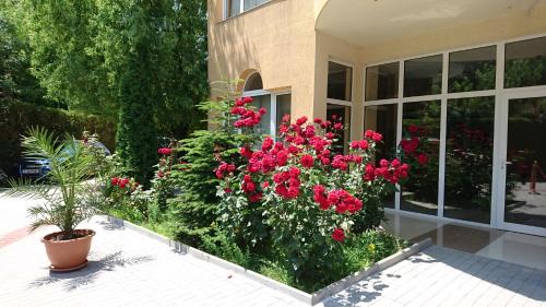 Kiten Apartamento | Studio Atliman
