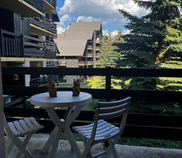 Risoul Apartamento | Studio au cœur de la station de Risoul 1850