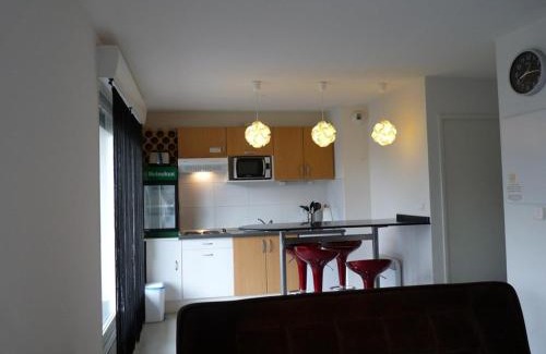 Arette Apartamento | Studio au pied des pistes, 4 pers., kitchenette, casier à skis, parkings gratuits - FR-1-602-68