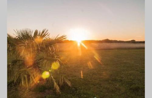 Montmartin-sur-Mer Casa | Studio au pied des dunes, 200 m de la plage