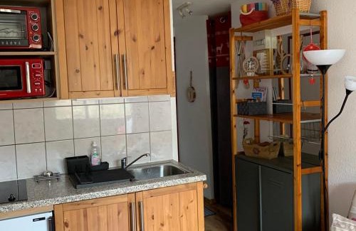 Les Menuires Apartamento | Studio avec Cabine aux Pieds des Pistes, Animaux Admis - FR-1-574-27
