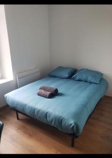 Vandoeuvre-les-Nancy Casa | Studio avec WC et SDB privés dans Grande maison à côté du campus Artem - Thermal et Parc des Expos