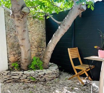 Balaruc-les-Bains Apartamento | Studio avec Jardin