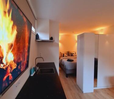 Baarn Casa | Studio Baarn with patio, airco, pantry, bedroom, bathroom, privacy - Amsterdam, Utrecht