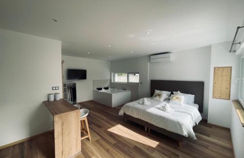 Wintzenheim Apartamento | Studio Balnéothérapie