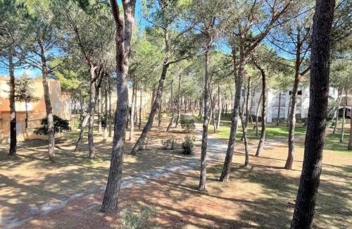 Argeles-sur-Mer Apartamento | Studio cabine à 200m de la plage, animaux admis, proche commerces - FR-1-225-687