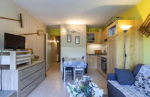 Eaux-Bonnes Apartamento | Studio cabine 6 pers, proche pistes, balcon, animaux admis, parking - FR-1-400-38