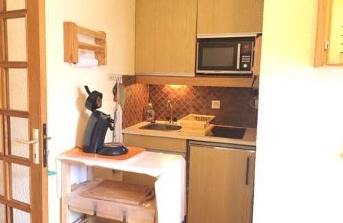 Risoul Apartamento | Studio cabine avec accès direct aux pistes, balcon, et piscine - 4 couchages, Risoul 1850 - FR-1-330-518