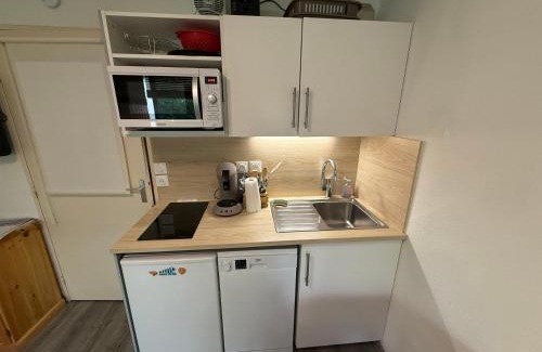 Prapoutel Apartamento | Studio cabine avec balcon et équipements pratiques - FR-1-557-54
