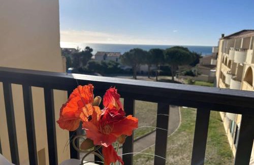 Saint-Pierre-la-Mer Apartamento | Studio Cabine Vue Mer - 4 Pers, Balcon, Animaux Bienvenus - FR-1-229D-15