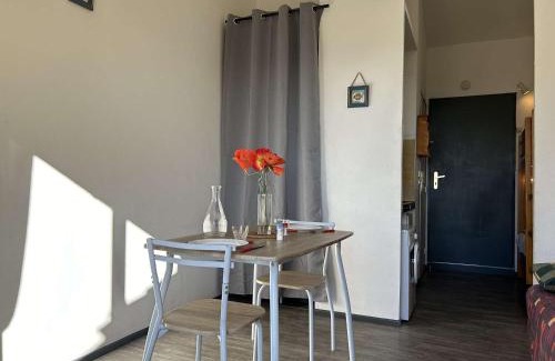 Saint-Pierre-la-Mer Apartamento | Studio Cabine Vue Mer - 4 Pers, Balcon, Animaux Bienvenus - FR-1-229D-15