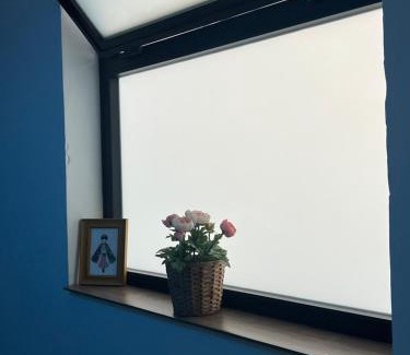 San Andres Apartamento | Studio Casa Azul