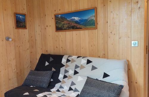 Chamonix City Centre Apartamento | Studio Chamonix rénové, proche centre et télécabine, animaux admis, parking - FR-1-517-3