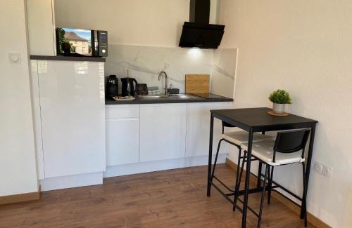 Horbourg-Wihr Apartamento | Studio climatisé 30 m2 à 2 min de Colmar