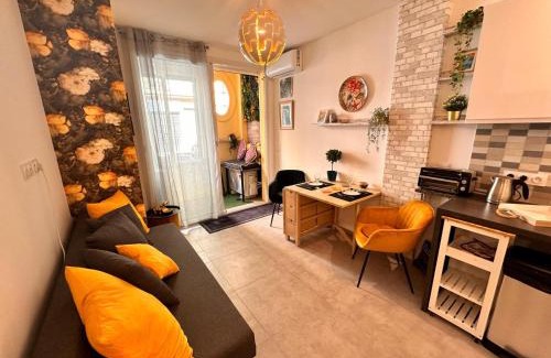 Carabacel Apartamento | Studio Coeur Delille FSHH