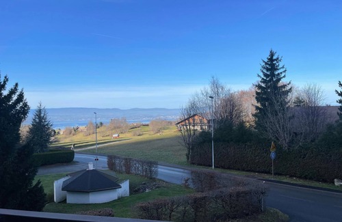 Thollon-les-Memises Apartamento | STUDIO COIN MONTAGNE THOLLON LES MEMISES