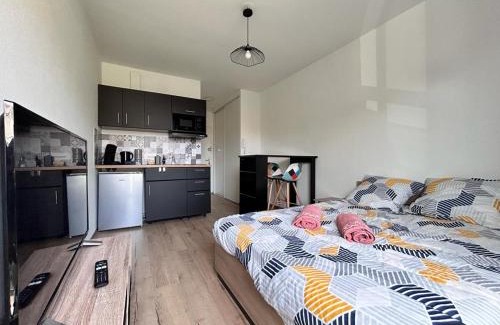 Teilhard Apartamento | Studio confortable et lumineux proche des hôpitaux - Hotel de ville Beaumont