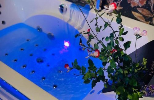 Montaigu-le-Blin Apartamento | Studio cosy avec baignoire balnéo près de Vichy - FR-1-489-520