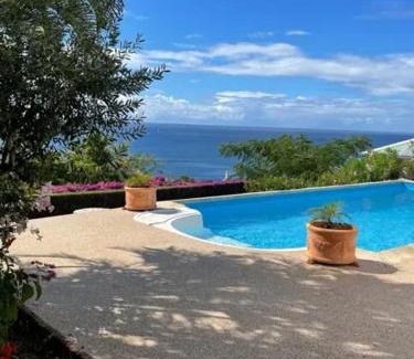 Case-Pilote Apartamento | Studio cosy avec vue sur mer à Case-Pilote, 21 m², piscine
