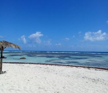 Anse des Rochers Apartamento | Studio cosy dans un domaine tropical avec piscine et plage