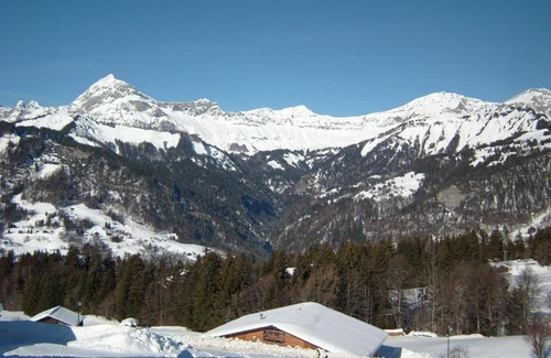 Cohennoz Apartamento | Studio cosy pour 4 aux pieds des pistes, animaux admis, parking - FR-1-733-46