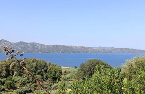 Patrimonio Apartamento | studio cosy vue mer