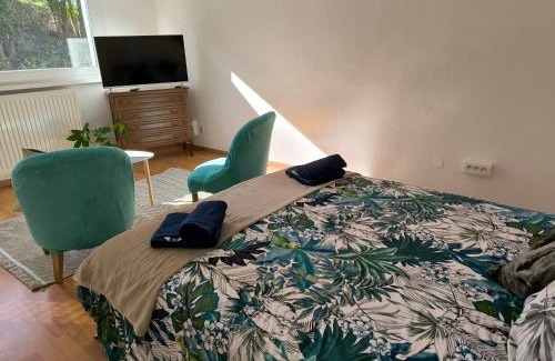 Sarrebourg Apartamento | Studio d'Angélique
