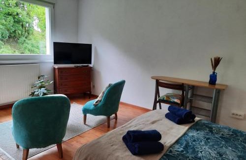 Sarrebourg Apartamento | Studio d'Angélique