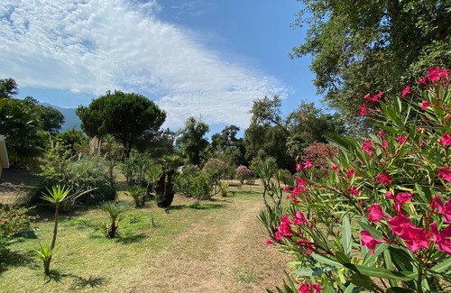 Santa-Maria-Poggio Apartamento | Studio Dans Grand Parc, Proche Mer/rivière Idéal Couple et Famille