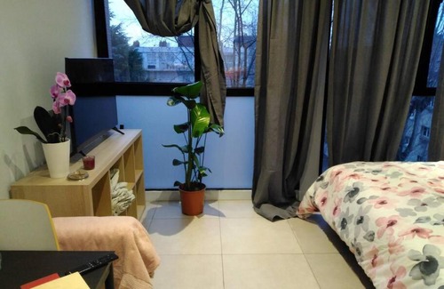 Cachan Apartamento | Studio de l'orchidée