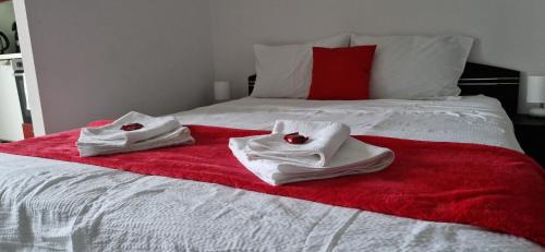 Tirgu Mures Apartamento | Studio Elegance