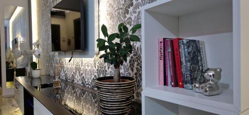 Tirgu Mures Apartamento | Studio Elegance