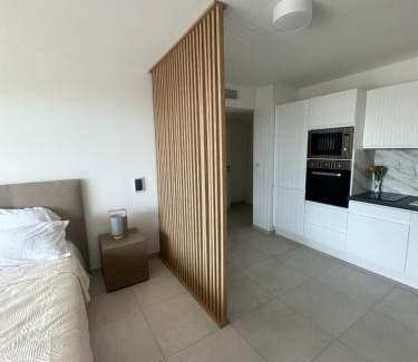 Saint-Laurent-du-Var Apartamento | Studio en bord de mer avec piscine sur le toit
