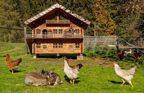 Forstau Casa | Studio Fageralm, 1 bedroom - Familienhotel Unterreith