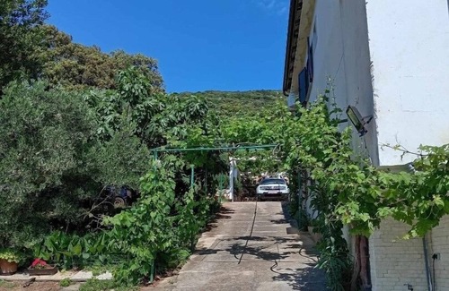 Martinscica Apartamento | Apartamento-estudio en la playa Martinscica, Cres (AS-23980-a)