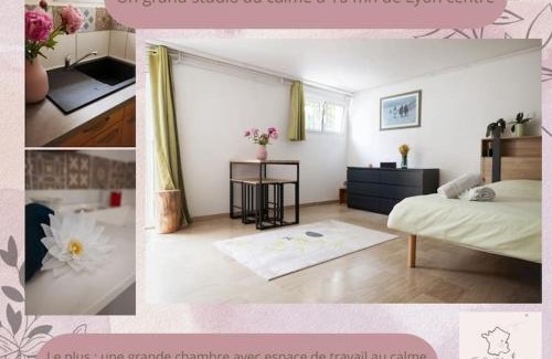 Corbas Apartamento | Studio frais & cosy Lyon - Eurexpo - LDLC Arena - Groupama Stadium - Eurexpo - 15mn Lyon
