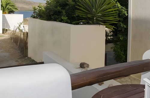 Pachena Apartamento | Estudio 'Galini' con jardín compartido, Wi-Fi y aire acondicionado