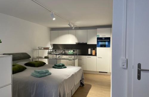 Uster District Apartamento | Studio Gocki