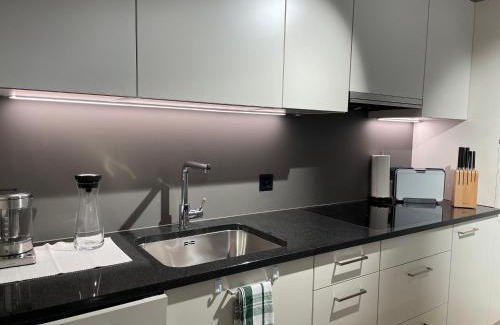 Uster District Apartamento | Studio Gocki