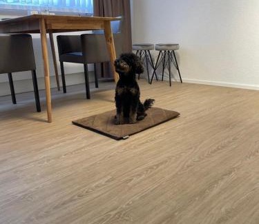 Uster District Apartamento | Studio Gocki
