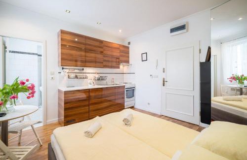 Kamienna Gora Apartamento | Studio - Grandtulipan