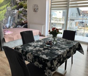 Swiebodzice Apartamento | Studio Green