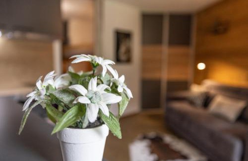 Les Contamines-Montjoie Apartamento | Studio haut de gamme Contamines