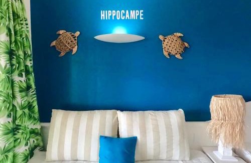 Gros Raisins Apartamento | Studio Hippocampe P&V