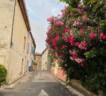 Portiragnes Apartamento | Studio Hirondelle